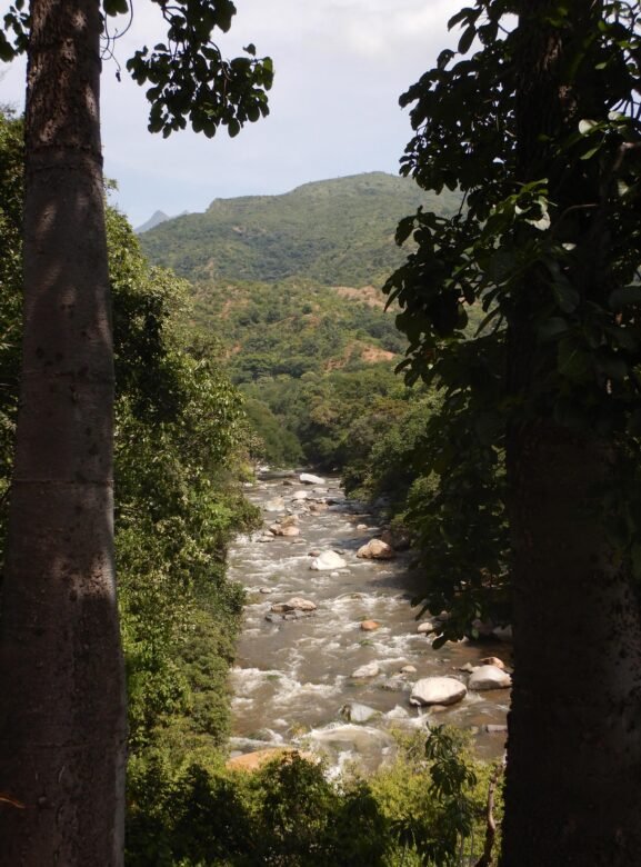bosque seco y río guatapuri