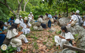 Política Ambiental