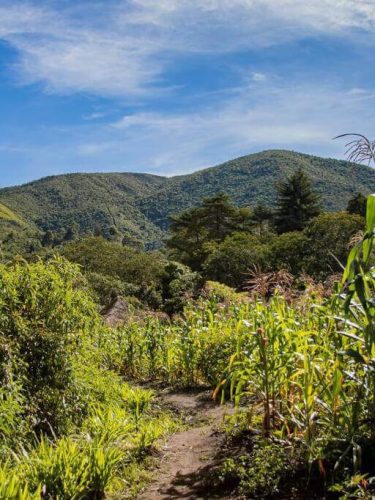 Agricultura sostenible de la Confederación indígena Tayrona